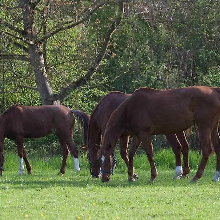 Oberle Farm stay