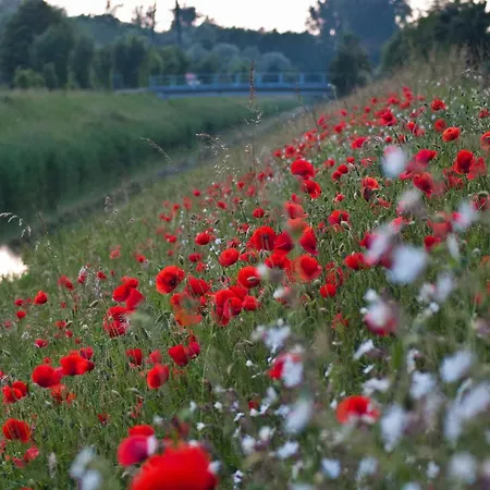 Alojamento de Turismo Rural Oberle