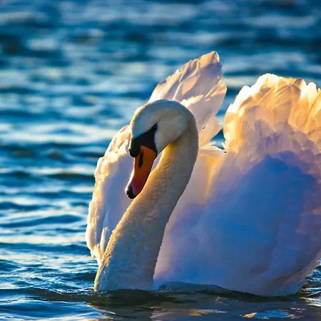 Farmház Oberle Ottenheim