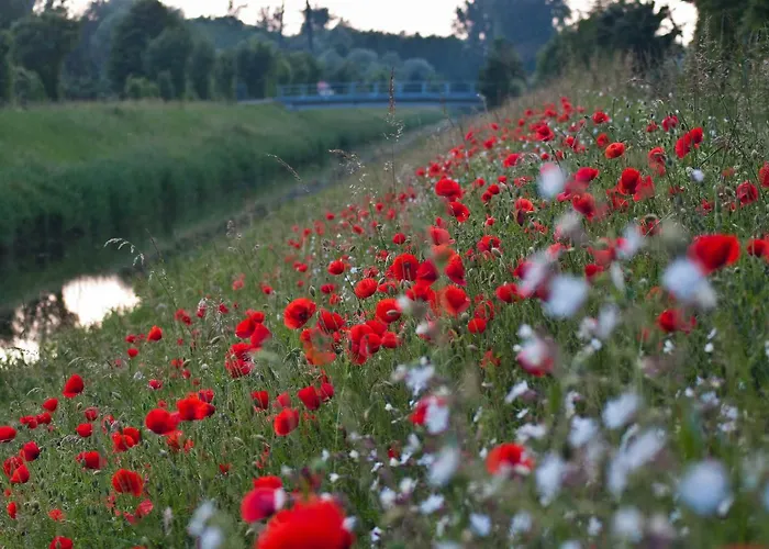 בית חווה Oberle