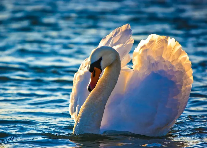 Gospodarstwo agroturystyczne Oberle Ottenheim